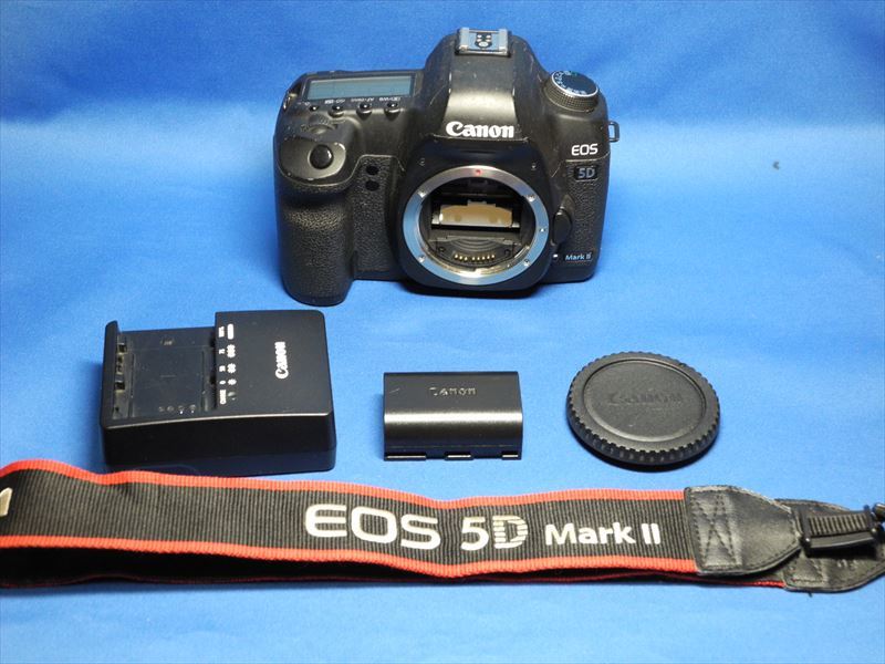 Canon キヤノン EOS 5D MarkII 実用品 1937ショット デジタル一眼レフ