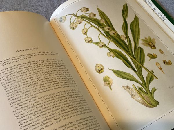 Classic Natural History Prints Plants / 1990 year foreign book gardening gardening plant . large book