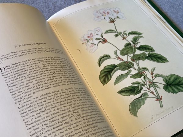 Classic Natural History Prints Plants / 1990 year foreign book gardening gardening plant . large book