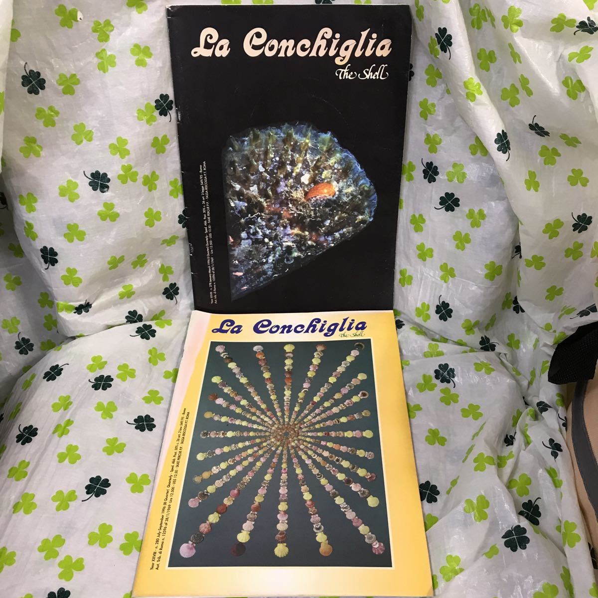 C173 イタリア語 英語 貝雑誌 La Conchiglia The Shell 12冊 貝類学 後鰓類 軟体動物 巻貝 貝殻 カラー 図版 まとめて セット 生物学 売買されたオークション情報 Yahooの商品情報をアーカイブ公開 オークファン Aucfan Com