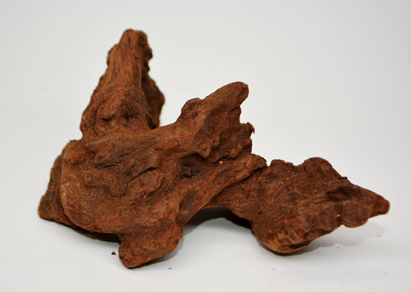 sonekemifa twist wood SS natural driftwood form incidental 