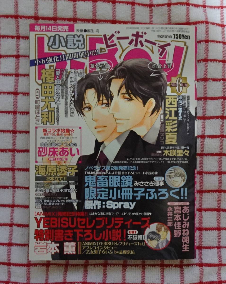 ［BL雑誌］小説b-Boy　2010年6月号（付録無し）/海原透子、砂床あい、榎田尤利　他_画像1