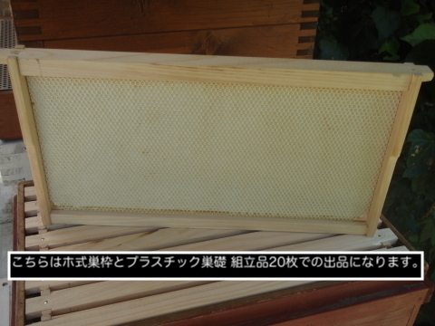 激安通販の 西洋ミツバチ 飼育用品 Keeping Bee 蜜蜂 ヒノキ材使用