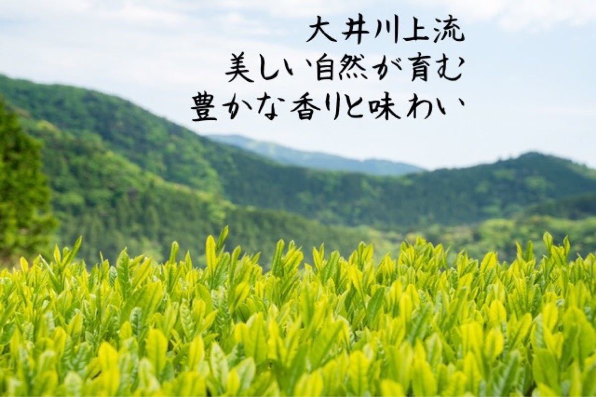 川根茶べにふうき緑茶粉末 70g×2個セット