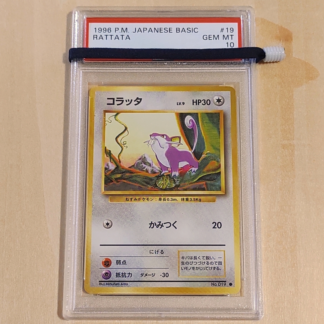 PSA 10 コラッタ 旧裏 1996年「第1弾」 Rattata | monsterdog.com.br