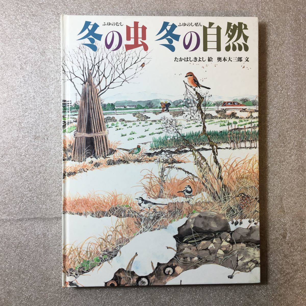 zaa-325♪冬の虫 冬の自然+夏の虫 夏の自然 (福音館のかがくのほん)奥本 大三郎 (著), たかはし きよし (イラスト)2冊セット_画像6