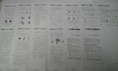 サピックス ＳＳ特訓６年理科開成対策プリント全１４回 実戦模擬入試