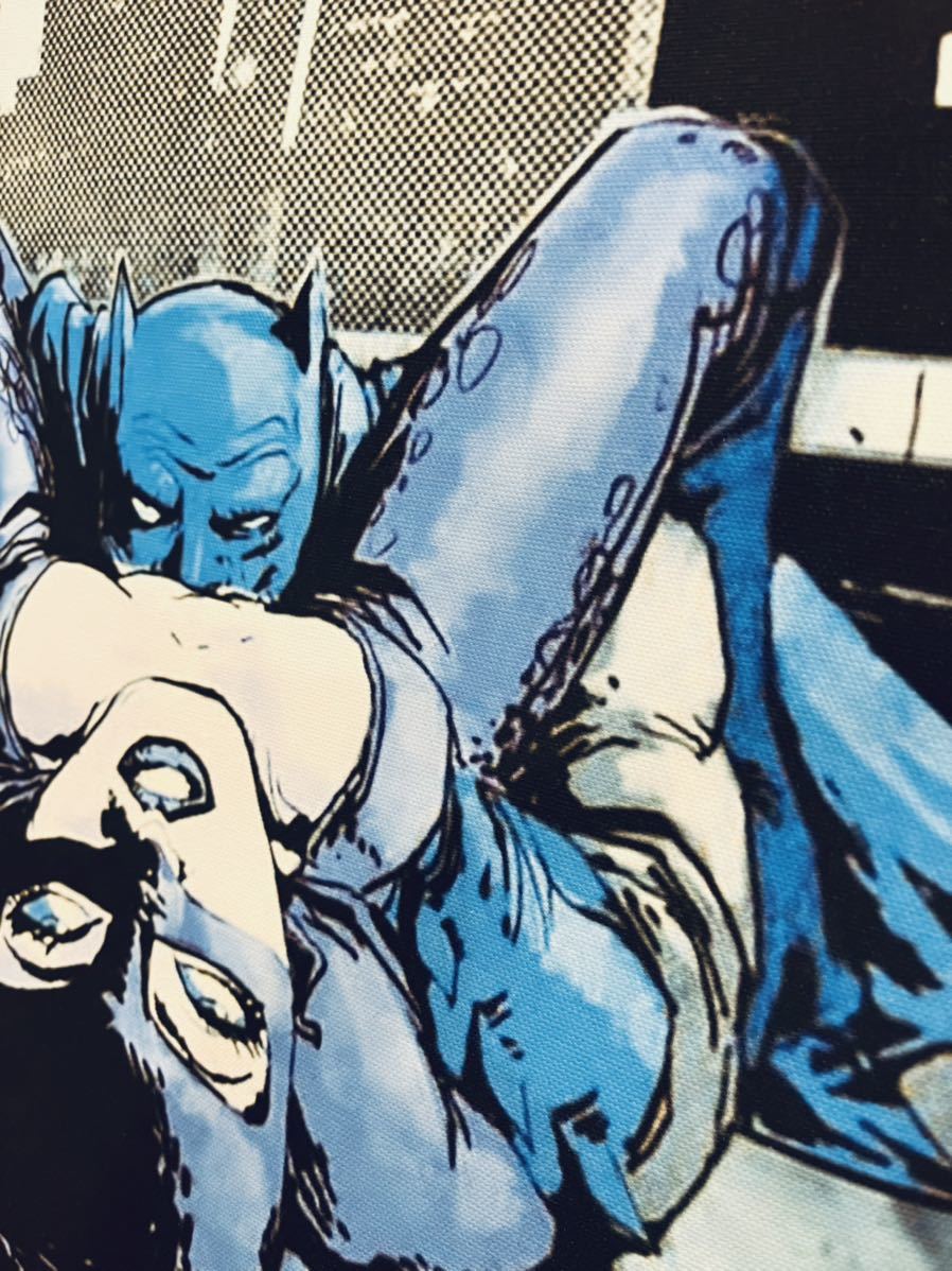 DCコミックス キャットウーマン と バットマン Batman catwoman 現代