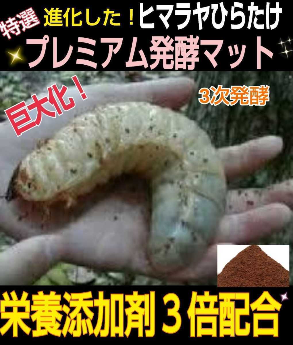 進化した！プレミアム3次発酵カブトムシマット☆特殊アミノ酸など栄養添加剤を3倍配合！トレハロース、ローヤルゼリー強化！微粒子仕上げ！_画像9