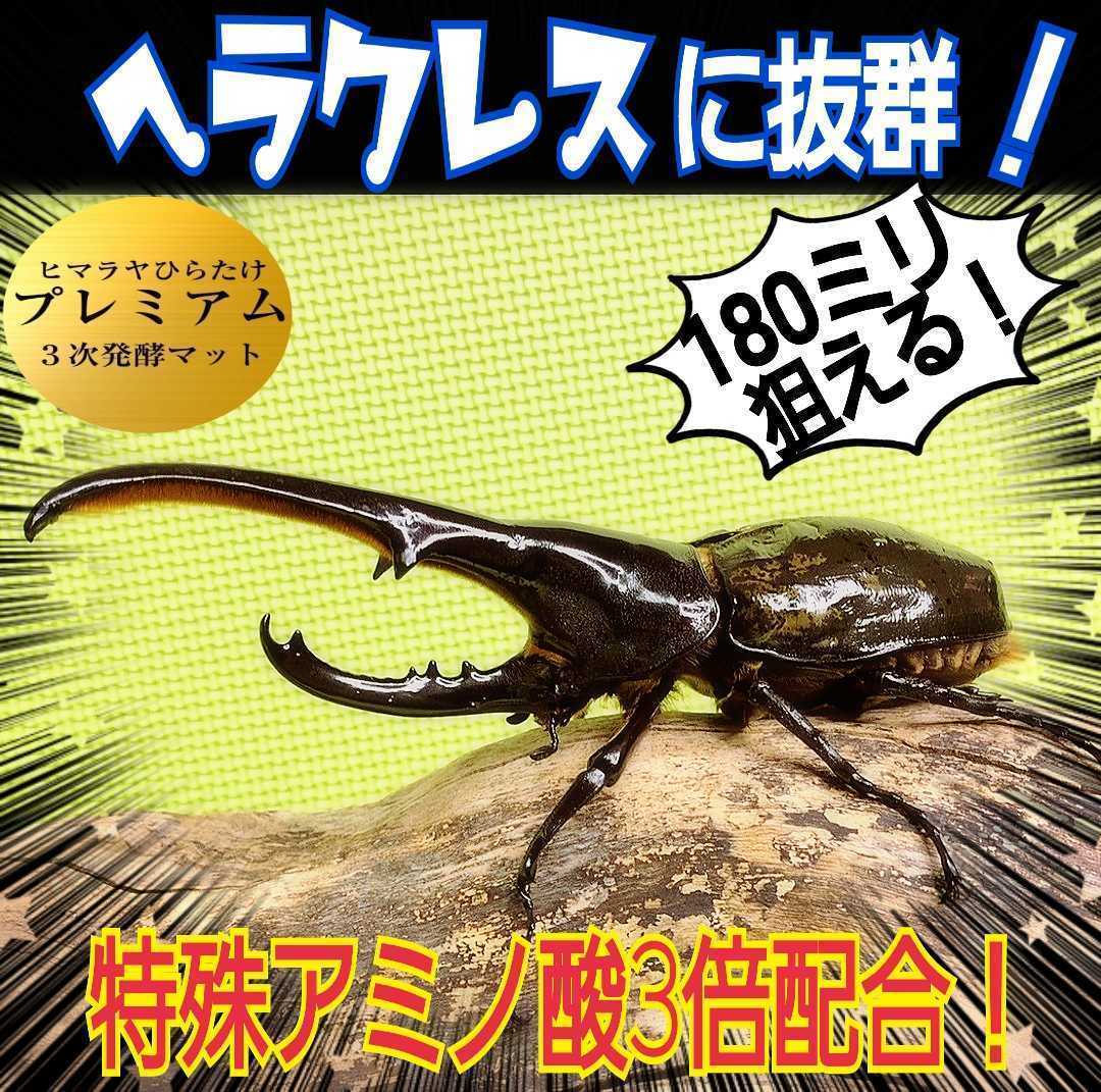 進化した！プレミアム3次発酵カブトムシマット☆特殊アミノ酸など栄養添加剤を3倍配合！トレハロース、ローヤルゼリー強化！微粒子仕上げ！_画像7