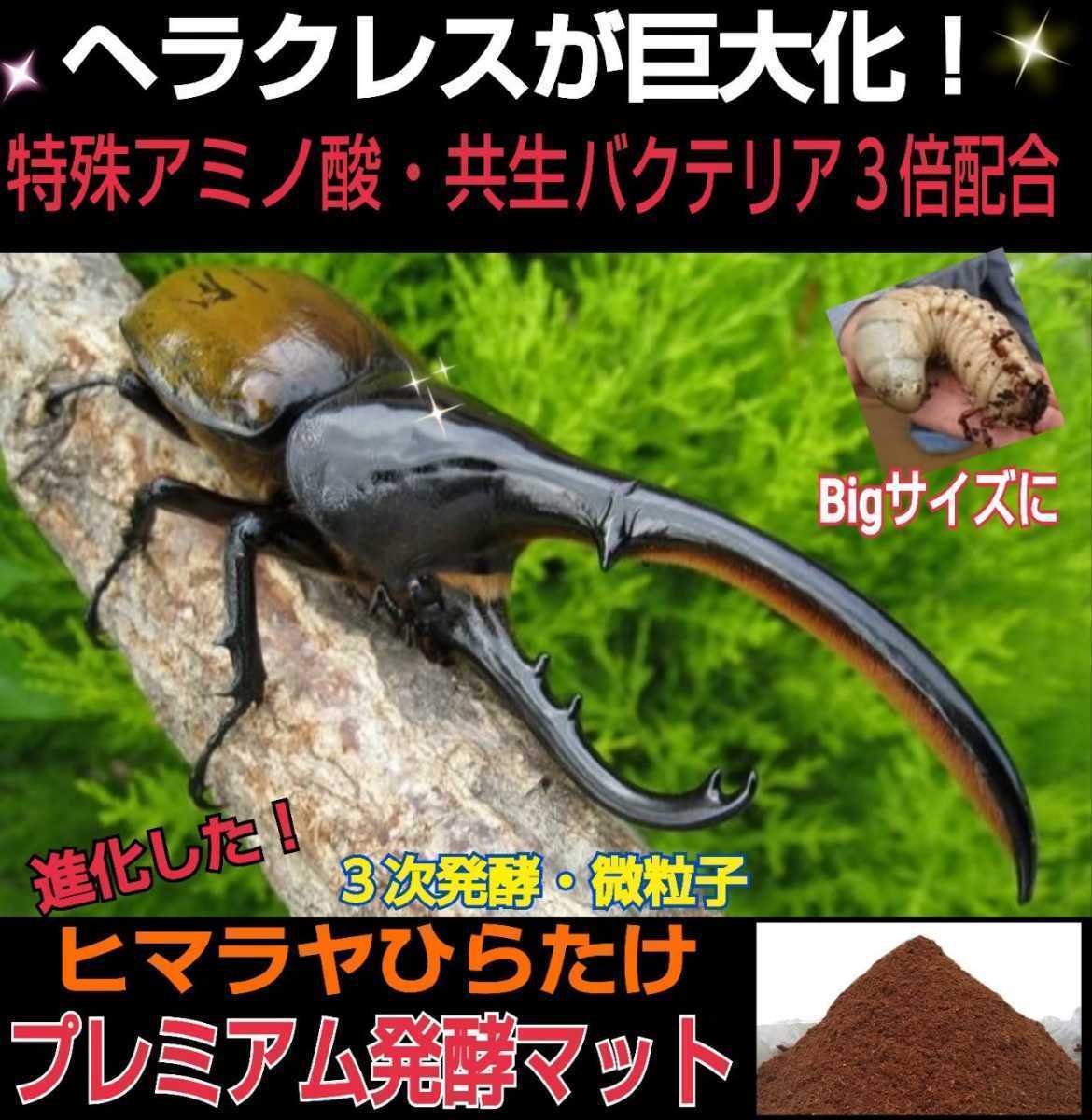 カブトムシ幼虫の餌、産卵に！特選プレミアム発酵マット☆栄養添加剤3倍配合！外国産、国産どちらも大きくなります！コバエ、雑虫湧かない_画像6