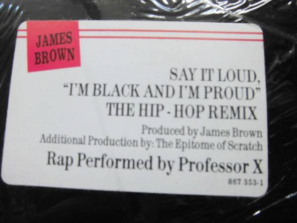 James Brown/Say It Loud, I'm Black And I'm Proud The Hip-Hop Remix /Epitome Of Scratch/Buddha/Professor X/1991/12インチ_画像3