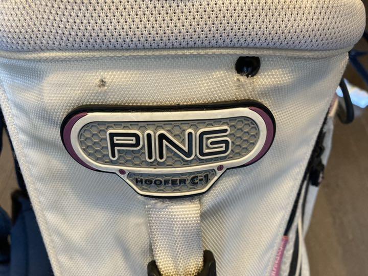 即決値下PINGスタンド型キャディバッグ | bedouingardenvillage.com