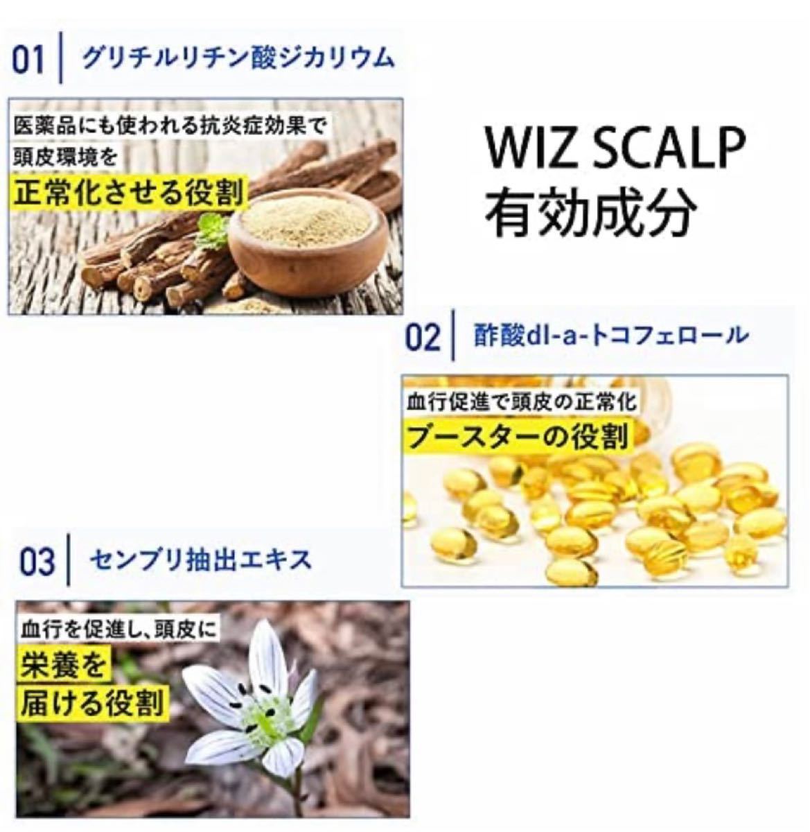 ウィズスカルプ01 WIZ SCALP 01 育毛剤