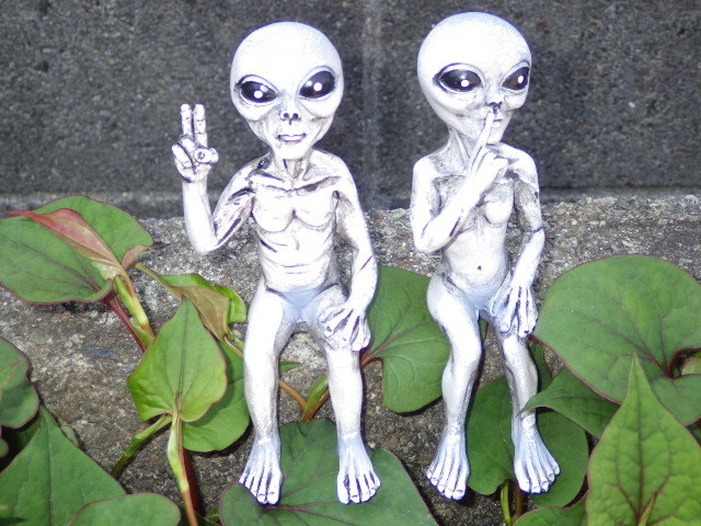  Alien * extraterrestrial * doll * ornament *6* objet d'art * gray *UFO* piece autograph * figure *TOY* secret * mystery * mystery * interior miscellaneous goods 