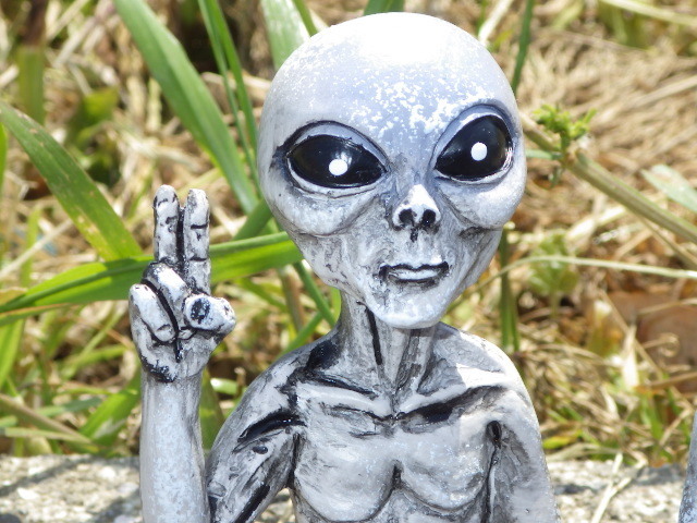  Alien * extraterrestrial * doll * ornament *6* objet d'art * gray *UFO* piece autograph * figure *TOY* secret * mystery * mystery * interior miscellaneous goods 