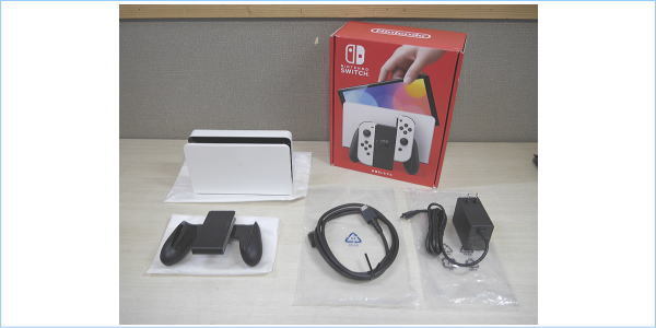 DSE 1円 品 任天堂 Nintendo Switch 本体無し ドックセット その他付属 