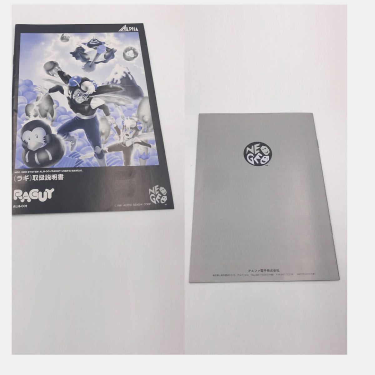 NEOGEO ラギ RAGUY カセット 説明書 箱付き 値下げ中 | www.norterminal.no