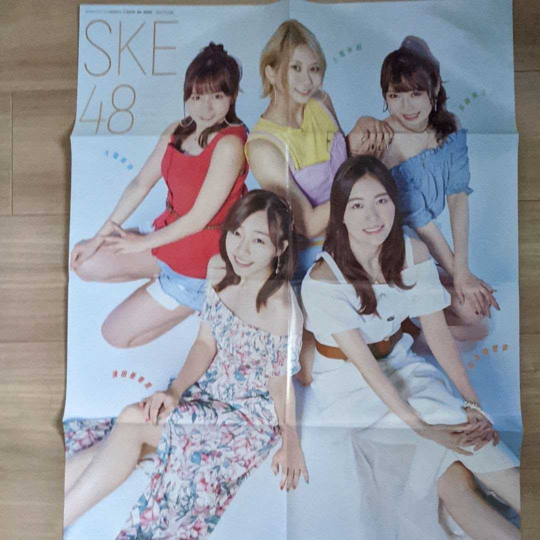 ２０１９ ヤングガンガン １５号 付録 非売品 ポスター 2枚セット SKE48 AKB48 松井珠理奈 古畑奈和 大場美奈 須田亜香里 高柳明音 非売品