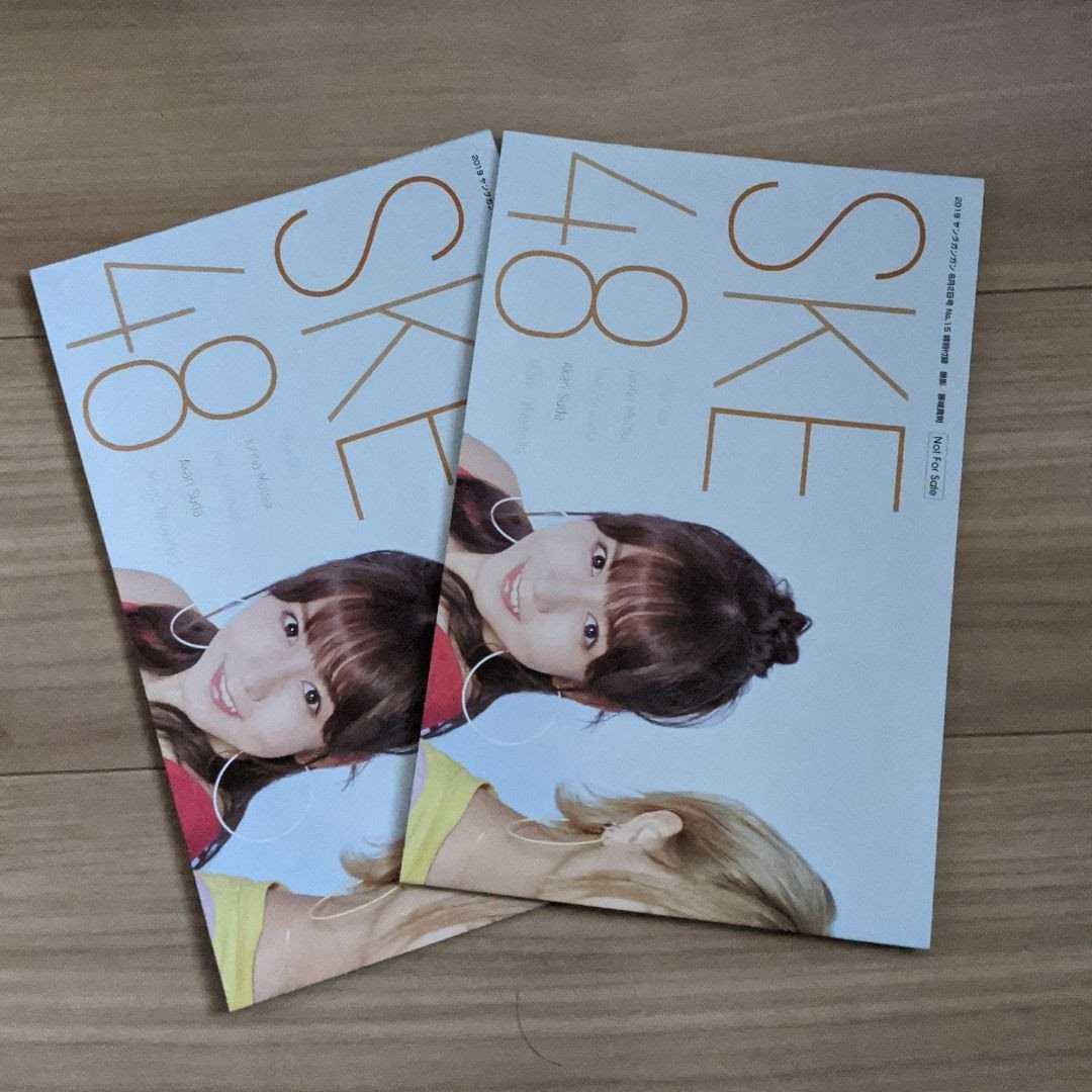 ２０１９ ヤングガンガン １５号 付録 非売品 ポスター 2枚セット SKE48 AKB48 松井珠理奈 古畑奈和 大場美奈 須田亜香里 高柳明音 非売品_画像1