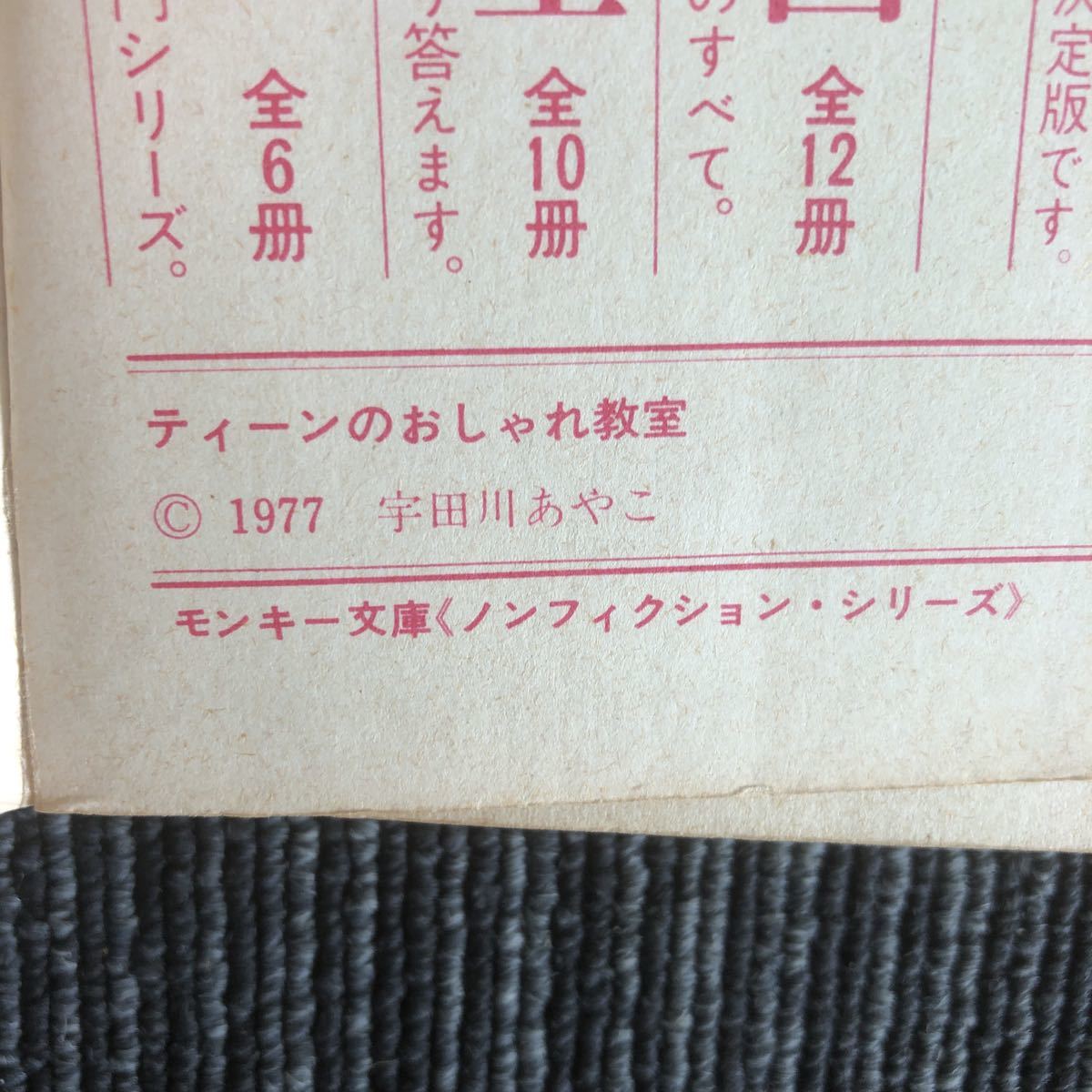 k[e5]* Showa Retro *1977 год чай n. модный .. автор :. рисовое поле река ... Monkey библиотека мода книга@ монография скучающий 70 годы 