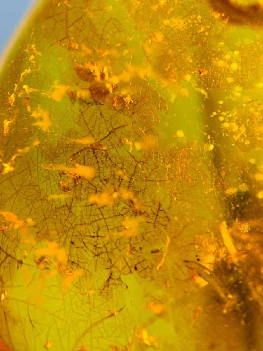 琥珀 バーマイト Amber Burmite 白亜紀 本物 虫入り琥珀 天然石 ビルマ 