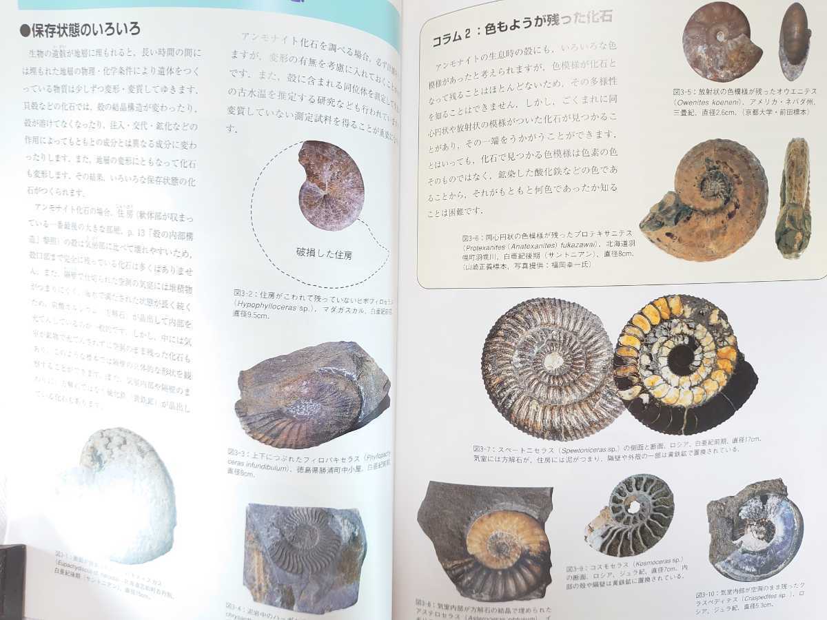図録 アンモナイトのすべて アンモナイト化石 化石のクリーニング 殻のつくり 巻き方 変異 多型 生息姿勢 進化 徳島県 北海道 異常巻き