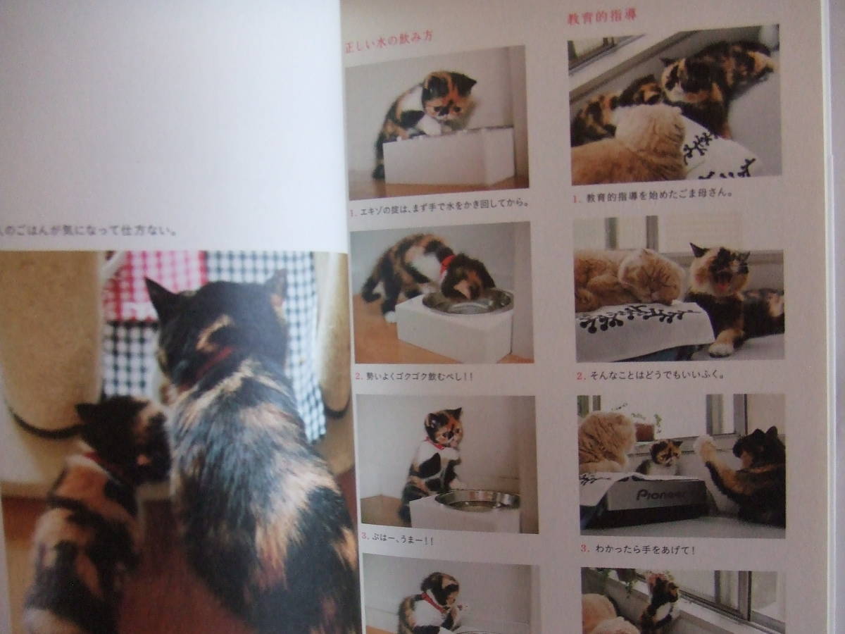 竹書房「めめぼん」A5中古品_画像3