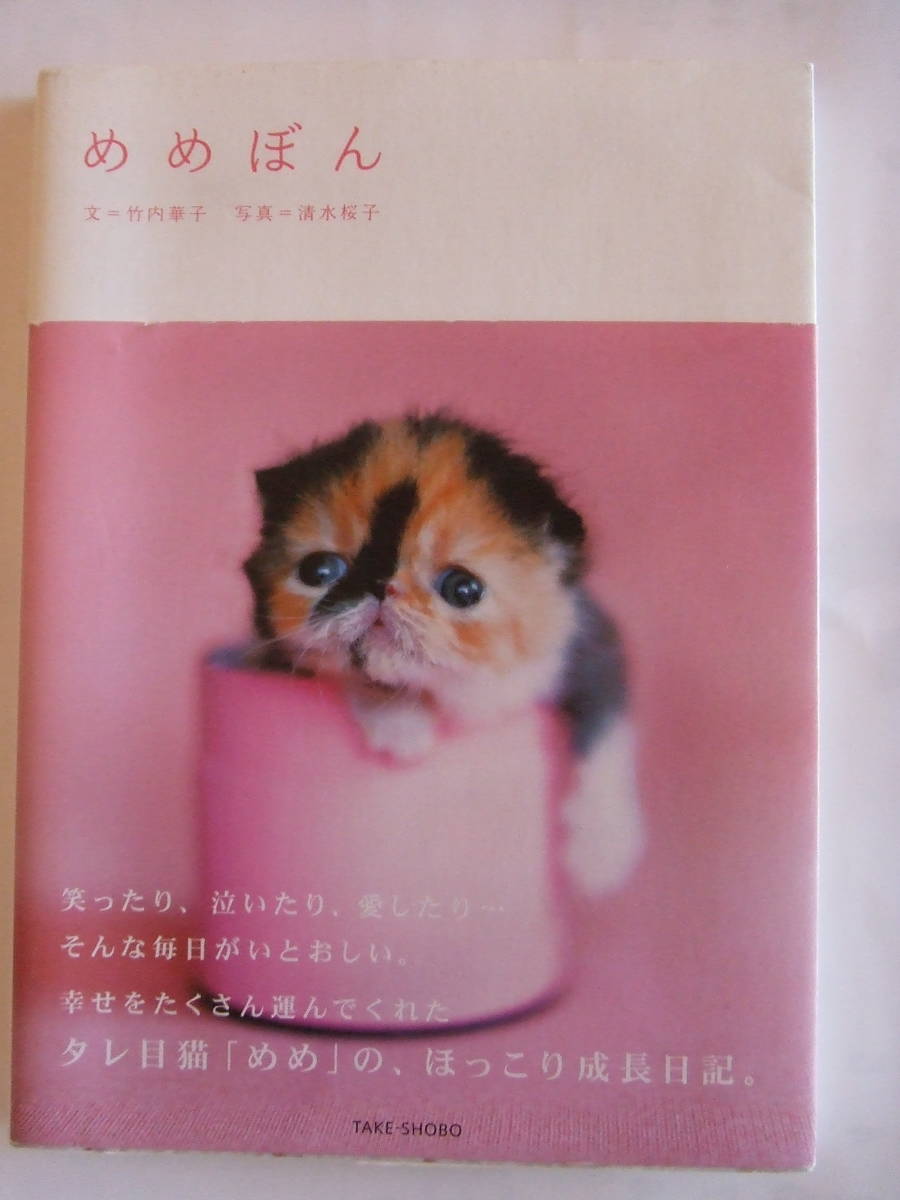 竹書房「めめぼん」A5中古品_画像1