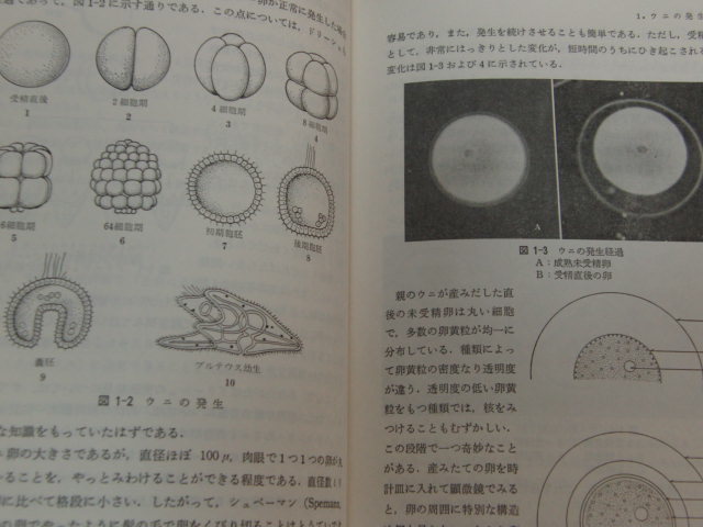 n5■一般教育生物学の視点　奥田光郎　岡本正介編著/1982年初版_画像2