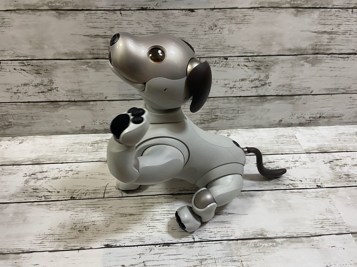 ポイント5倍 aibo ERS-1000/M/S 初期化済み - 通販 - www.icetran.com.br