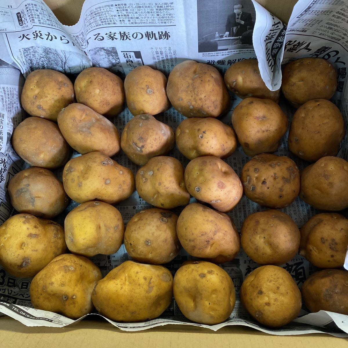 PayPayフリマ|北海道産 幻のじゃがいも インカのめざめ 約5キロ弱 送料無料 PayPayフリマ|北海道産 幻のじゃがいも インカのめざめ 約5キロ弱 送料無料