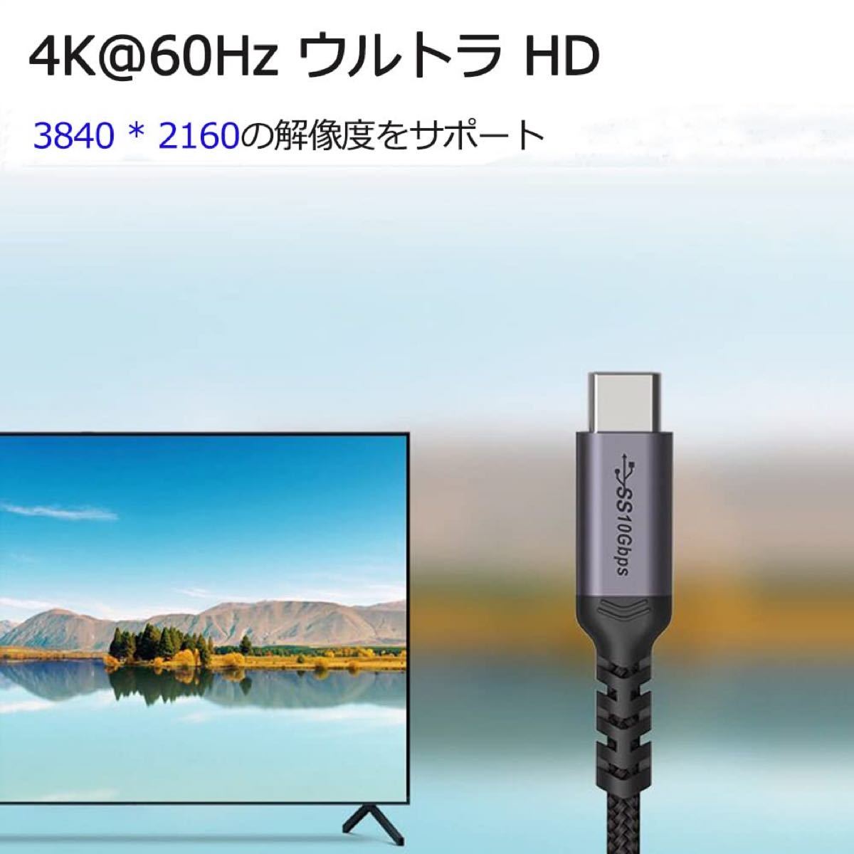 Type C 延長ケーブル  USB 3.1  10Gb 100W/3A 1M