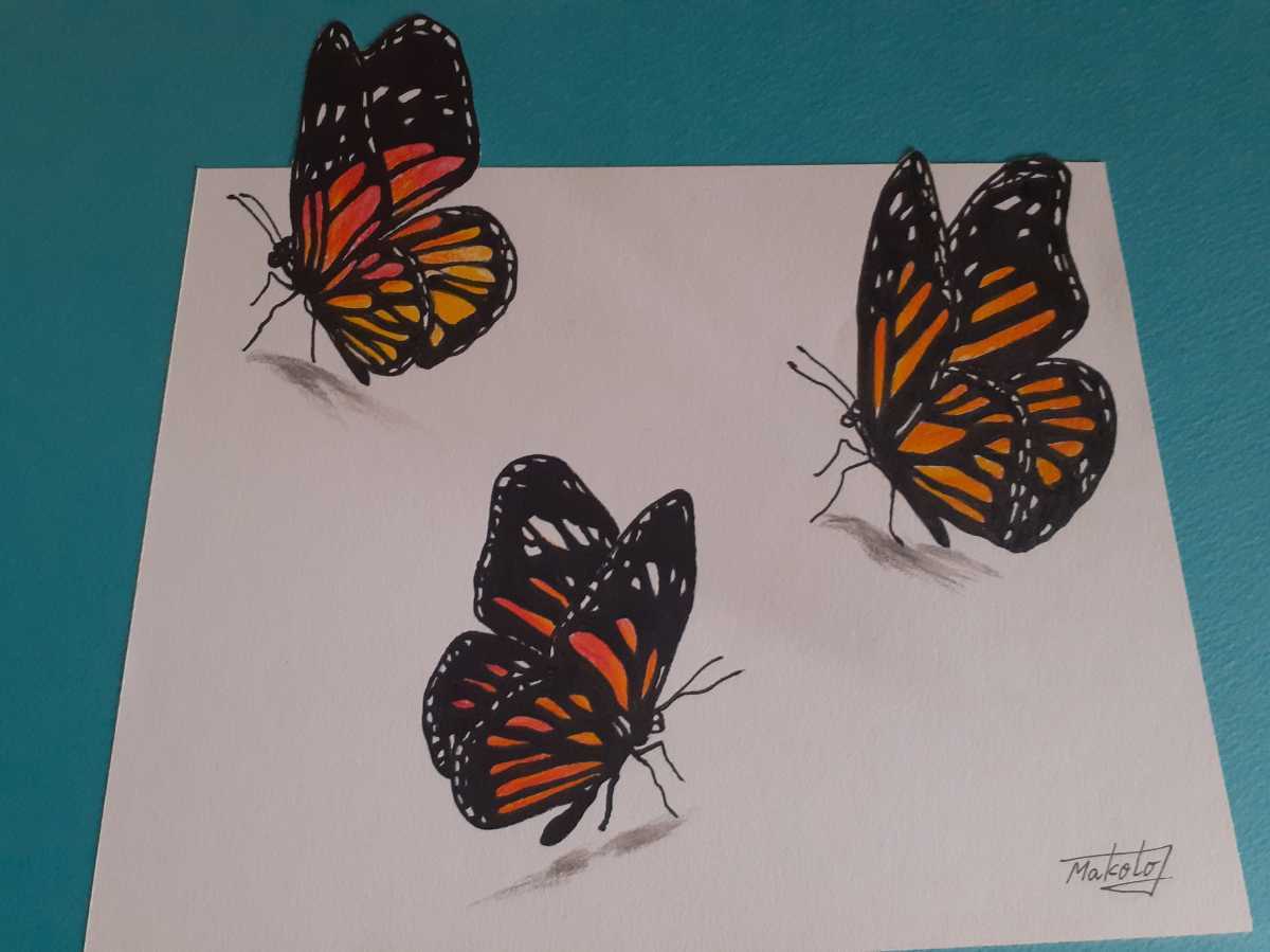 3D水彩色鉛筆画アート　蝶々の舞い_画像3