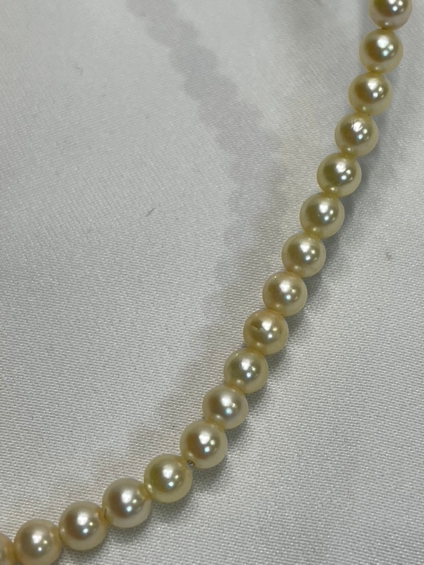 あこや本真珠 パールネックレス 留め具K18 USED品 - レディース