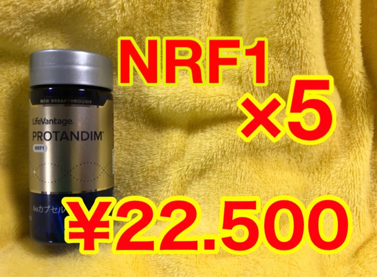 NRF1×5 プロタンディム ライフバンテージ｜PayPayフリマ