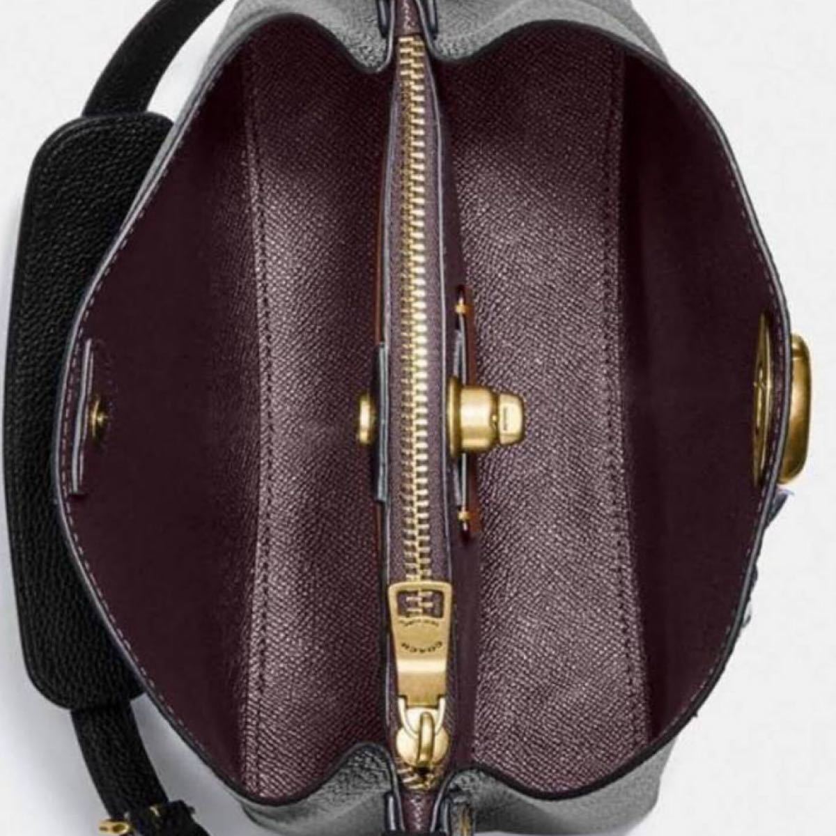 coach 新品未使用 ウィロウバケット トート ショルダーバッグ