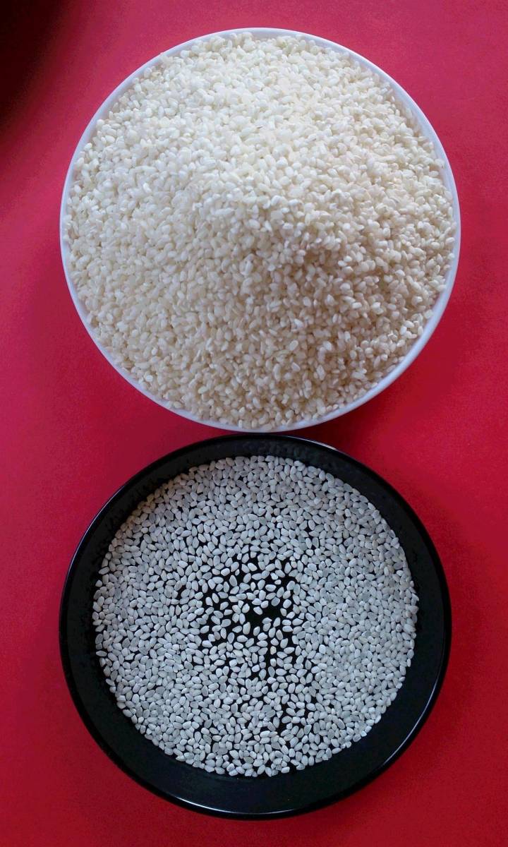 新米 令和３年産The米10㎏（未熟白米、粒が小さく白 いお米）国内産_未熟白米、粒が小さく白 いお米