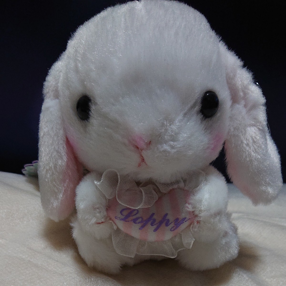 ぽてうさろっぴー みるくてぃーちゃん ちょこれーぴょん しろっ ぽてうさろっぴー みるくてぃーちゃん ちょこれーぴょん しろっ