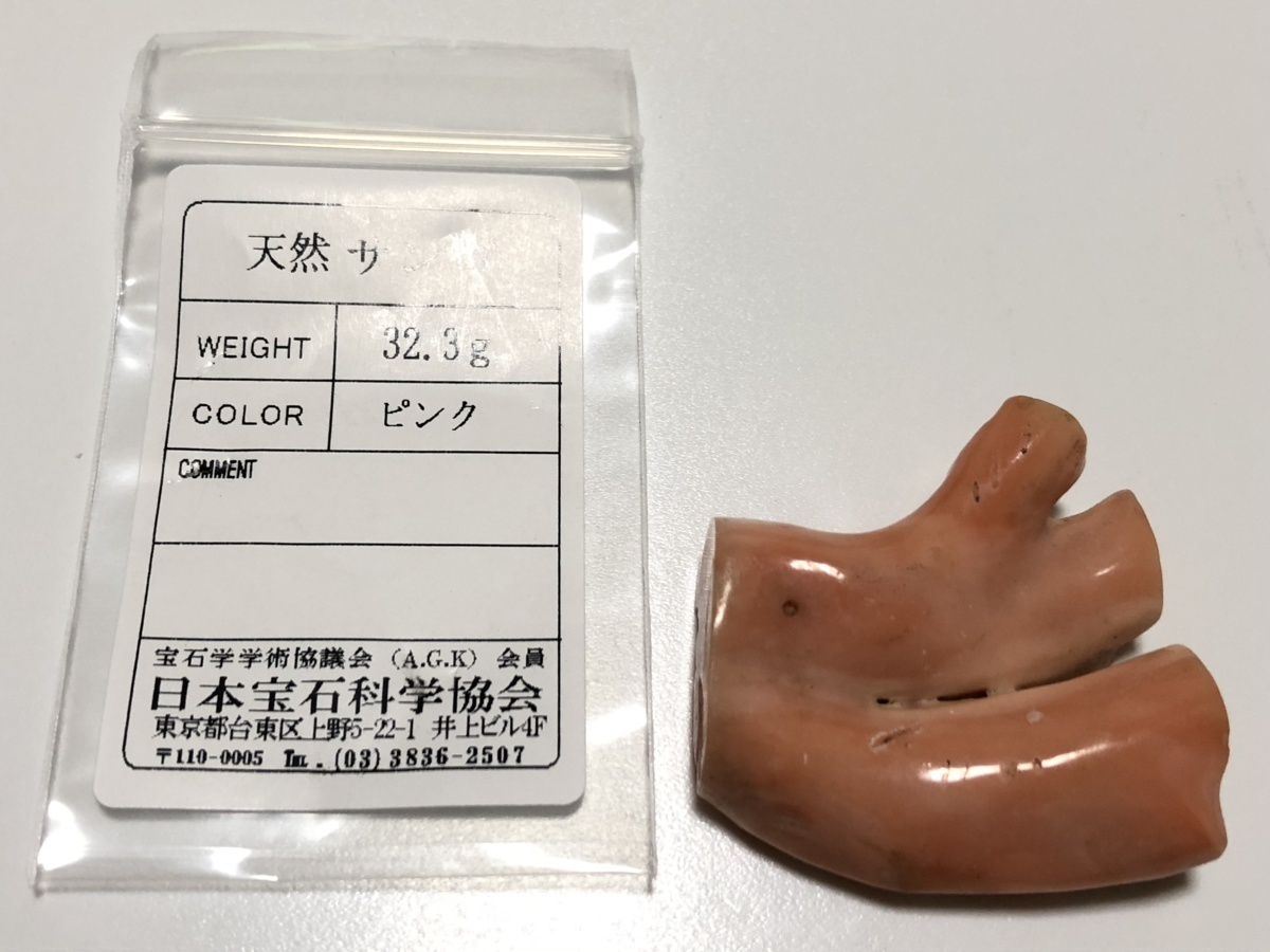 本珊瑚 32.3g 大振り 枝 帯留め・ブローチ用 ルース ソーティング付属