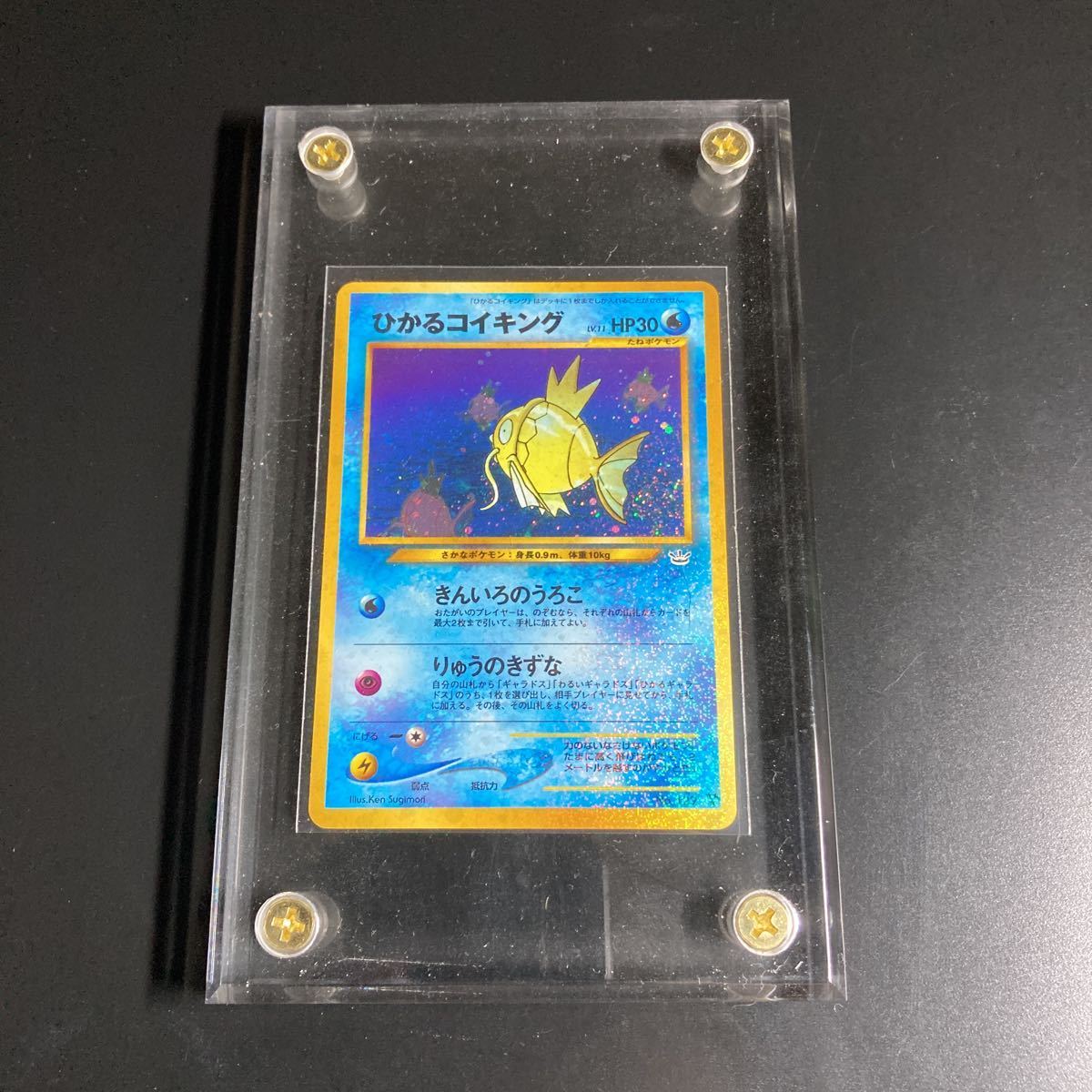 未使用 美品 ポケモンカード 旧裏面 プロモ ひかるコイキング Lv.11