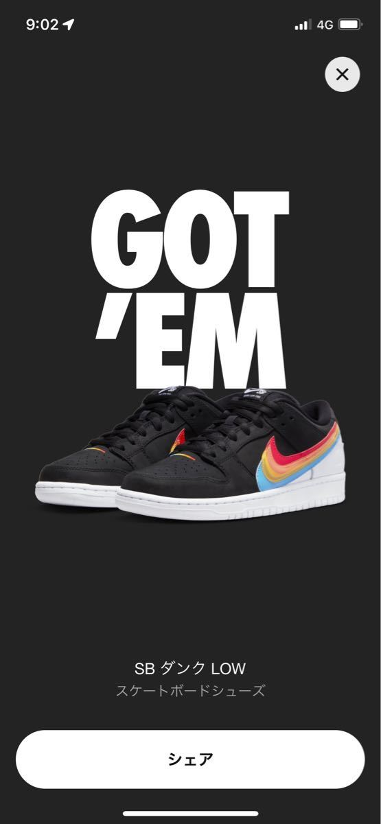 Nike SB Dunk Low Pro QS Polaroid 29cm 値下げ
