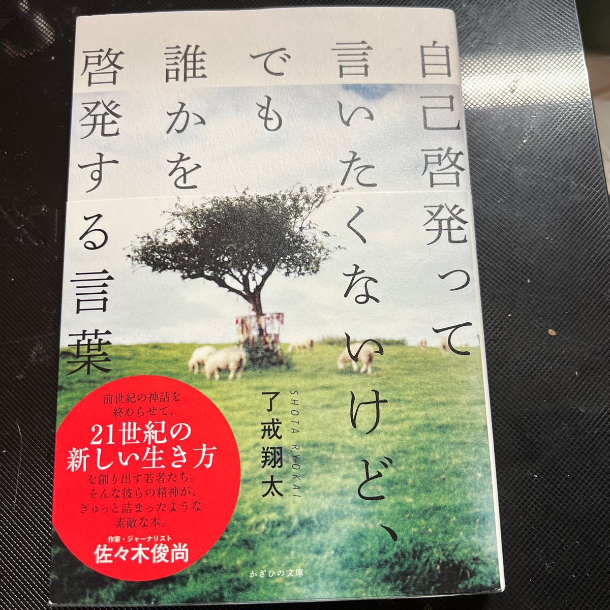 自己啓発って言いたくないけど、でも誰かを啓発する言葉/了戒翔太