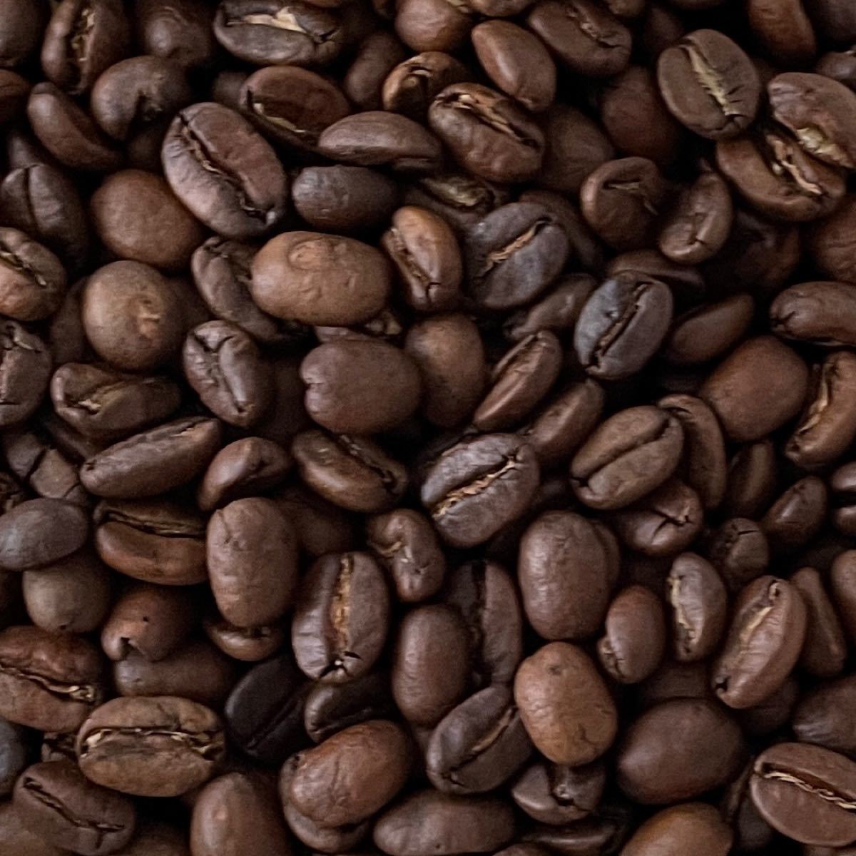 自家焙煎 選べる2種　100g×2袋 注文後焙煎 YHR-COFFEE 豆のまま コーヒー豆 コーヒー 珈琲 ギフト 母の日