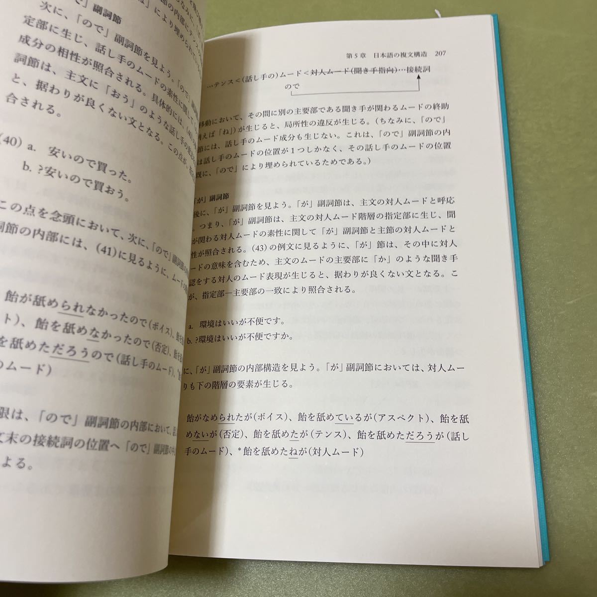 ◎日本語カートグラフィー序説