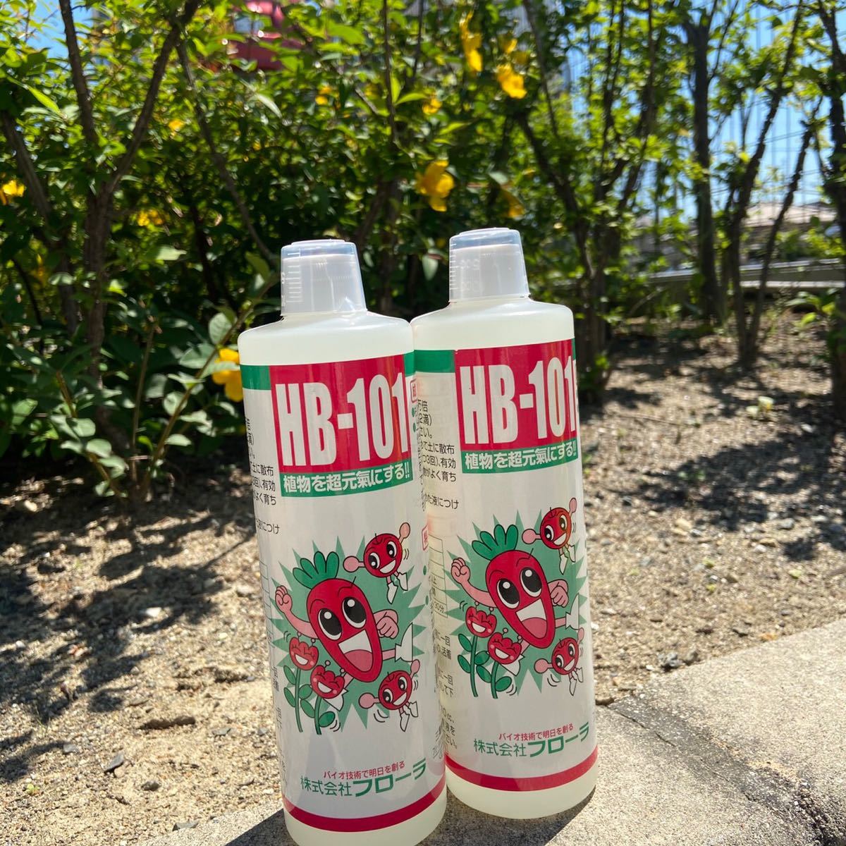 フローラ HB-101 2L 植物 活力剤 天然 活性液 原液 栄養剤 野菜 果物