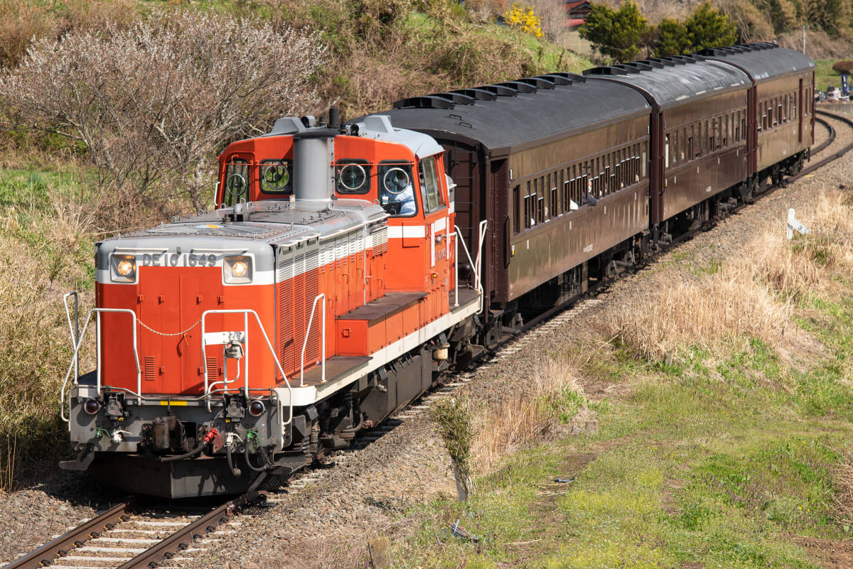 鉄道 デジ 写真 画像 陽春磐越東西線号 DE10 旧型客車 3_画像1