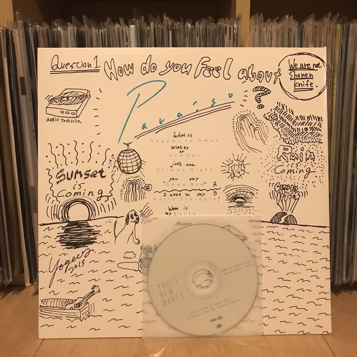 希少1stプレス盤 Yogee New Waves - PARAISO LP | fermedesnoyers.be