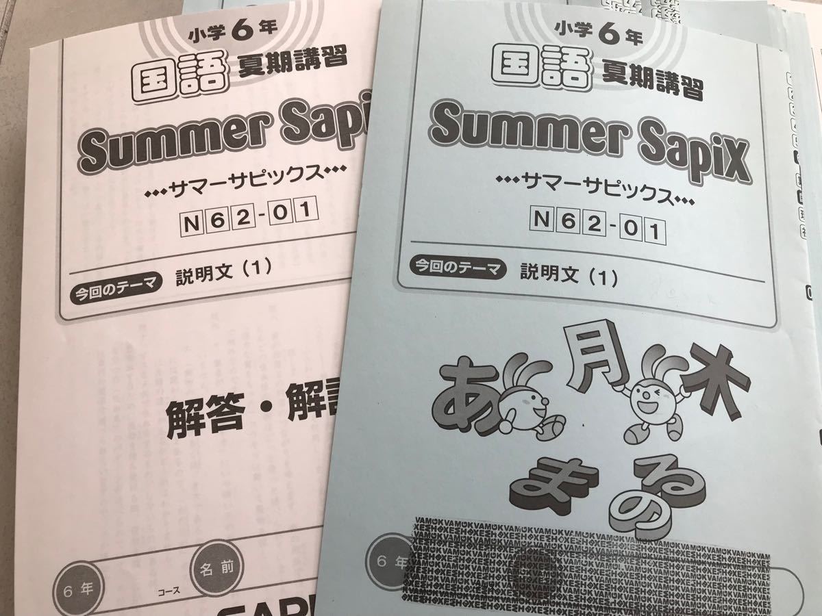 サピックス 国語　夏期講習　全18冊　一式　 SAPIX 小6