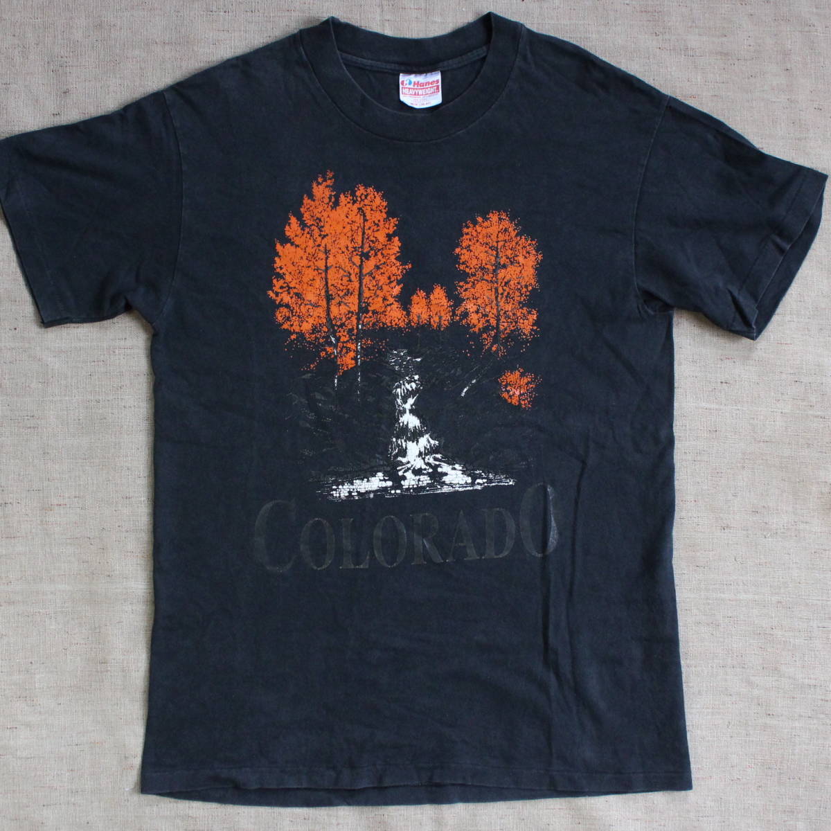 1990s COLORADO ヴィンテージTシャツ USA製 森 滝 コロラド州 MOUNTAIN マウンテン グラフィック アート アメリカ古着 レアHanesフェード